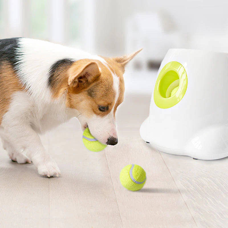 CLEVER PET™ Automatic Ball Launcher