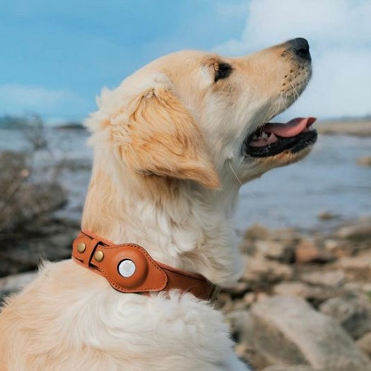 CLEVER PET™ Airtag Dog Collar