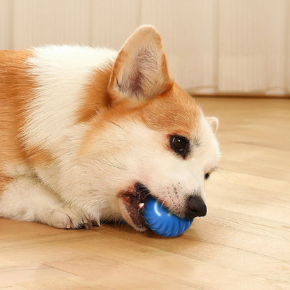 CLEVER PET™ Smart Pet Toy Ball