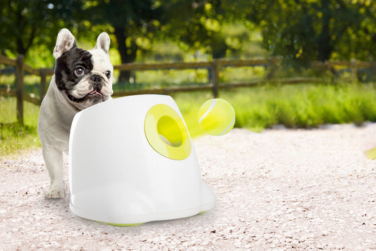 CLEVER PET™ Automatic Ball Launcher