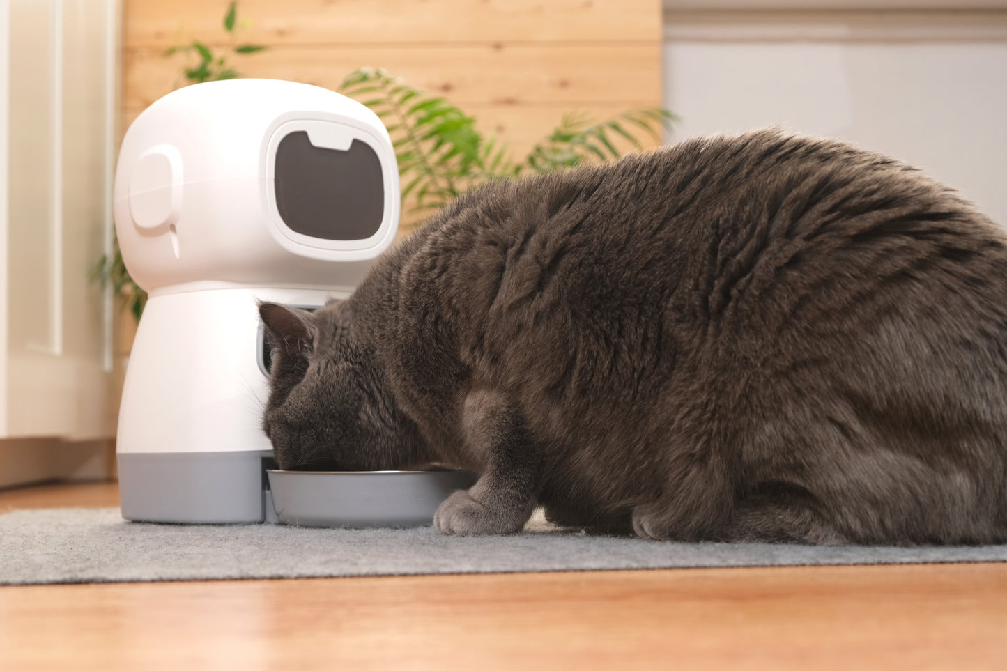 CLEVER PET™ Automatic Pet Feeder